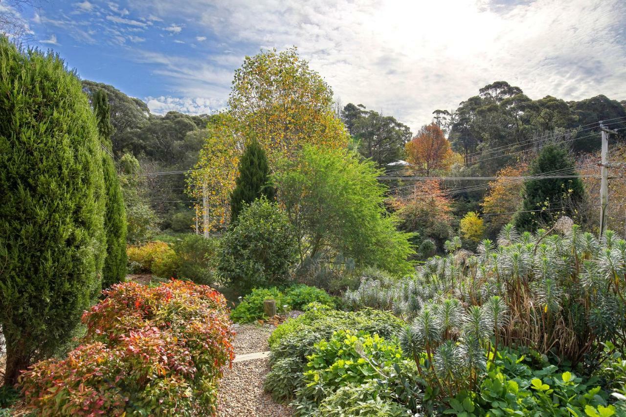 Hills Havens Cottages Leura Buitenkant foto